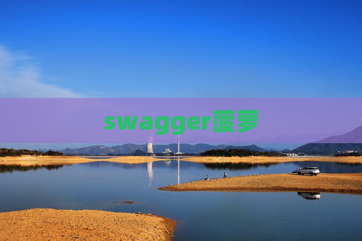 swagger菠萝